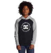 NU 20% KORTING: DC Shoes Hoodie DC Star Pilot