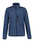 NU 20% KORTING: Icepeak Vest H STRICKFLEECEJACKE ALFELD