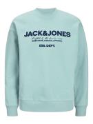 Jack & Jones Sweatshirt JJGALE SWEAT O-NECK