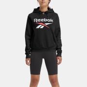 NU 20% KORTING: Reebok Hoodie RI BL Fleece Hoodie