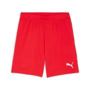 PUMA Trainingsshort TEAMGOAL SHORTS