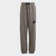 adidas Sportswear Sportbroek U FI LOGO PT (1-delig)