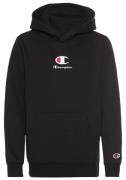 Champion Hoodie HOODED sweatshirt