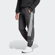 adidas Sportswear Sportbroek M FI WV PT (1-delig)