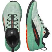 Salomon Runningschoenen SENSE RIDE 5