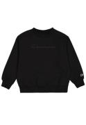 Champion Sweatshirt Crewneck sweatshirt