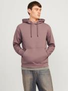 Jack & Jones Hoodie JJEBRADLEY SWEAT HOOD NOOS