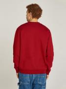 TOMMY JEANS Sweatshirt TJM REG S FLAG CREW