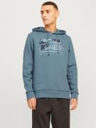 Jack & Jones Hoodie JJLUKE SWEAT HOOD