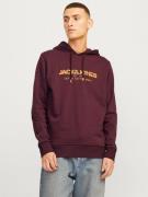 Jack & Jones Hoodie JJALVIS SWEAT HOOD