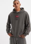 Levi's® Hoodie RELAXED GRAPHIC PO