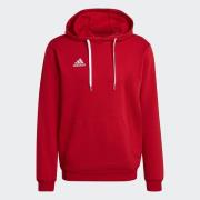 adidas Performance Hoodie ENT22 HOODY