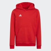 adidas Performance Hoodie ENT22 HOODY Y