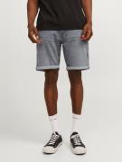 Jack & Jones Short JJIRICK JJICON SHORTS GE 370 I.K SS24 SN