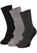 Apollo Basic sokken THERMAL/TRACKING SOCKS (2 paar, Set van 3)