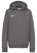 Nike Hoodie SWEATHOODY PARK