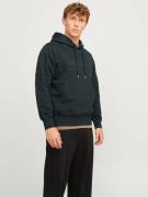 NU 20% KORTING: Jack & Jones Hoodie JORFREDERIKSBERG SWEAT HOOD SN