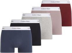 Calvin Klein Trunk 5PK (5 stuks, Set van 5)