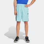 adidas Performance Short TR-ES PIQ 3SHO (1-delig)