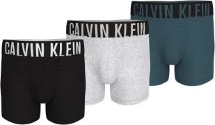 Calvin Klein Boxershort BOXER BRIEF 3PK met logo-stretchband (3 stuks)