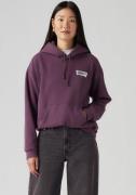 NU 20% KORTING: Levi's® Hoodie GRAPHIC EVERYDAY HOODIE