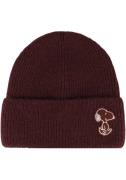 NU 20% KORTING: Capelli New York Beanie