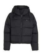 NU 20% KORTING: Tommy Jeans Curve Gewatteerde jas JW ASPEN PUFFER EXT ...