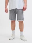 Jack & Jones PlusSize Short JJIRICK JJICON I.K. SHOR