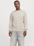 Jack & Jones Sweatshirt JJESTAR BASIC SWEAT CREW NECK NOOS