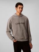 Calvin Klein Hoodie LS EU STANDARD LOGO 350TERRY PO
