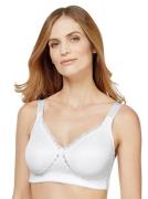 Minimizer-bh (2-delig, Set van 2)