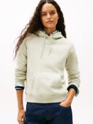 TOMMY JEANS Hoodie TJW REG LINEAR HOODIE EXT