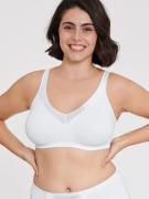 Naturana Minimizer-bh Solutions met glanzband (1-delig)