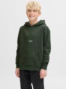 Jack & Jones Junior Hoodie JJESOHO SWEAT HOOD NOOS JNR