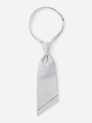 MONTI Stropdas ALESSIO Huwelijks-plastron, met feestelijk paisley-patr...