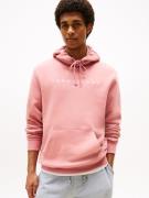 TOMMY JEANS Hoodie TJM REG LINEAR LOGO HOODIE EXT