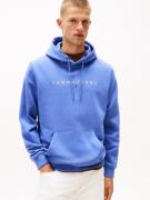 TOMMY JEANS Hoodie TJM REG LINEAR LOGO HOODIE EXT