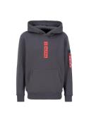 Alpha Industries Hoodie Alpha Industries Men - Hoodies Alpha Puff Prin...