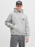 Jack & Jones Hoodie JORNORREBRO TYPO BACK SWEAT HOOD SN