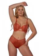 After Eden D-cup & up String TESSA Met kant, hoge taille