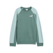 PUMA Sweatshirt SPORT CREW TR G