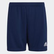 adidas Performance Trainingsshort ENT22 TR SHOY (1-delig)