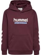 hummel Hoodie (1-delig)