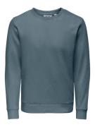 ONLY & SONS Sweatshirt ONSCHASE REG CREW SWEAT OTL