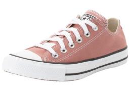 Converse Sneakers CHUCK TAYLOR ALL STAR