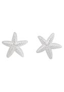 Firetti Oorstekers Sieraad cadeau zilver 925 oorbellen zee ster