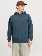 Jack & Jones Hoodie JJECHARGE FADED SWEAT HOOD NOOS