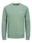 Jack & Jones Sweatshirt JJEBRADLEY GRAPHIC SWEAT CREW NOOS