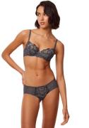 Triumph Hipster Sensual Spotlight