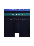 Tommy Hilfiger Underwear Boxershort 3P BOXER BRIEF WB (Set van 3)